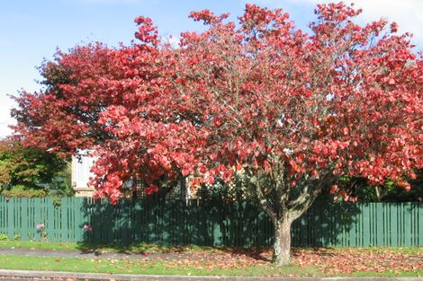Photo of property in 15 Karaka Place, Tokoroa, 3420