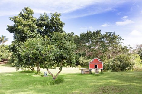 Photo of property in 3203 Pouto Road, Te Kopuru, 0391