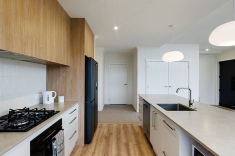 Photo of property in 65 Maanihi Drive, Rototuna North, 3210