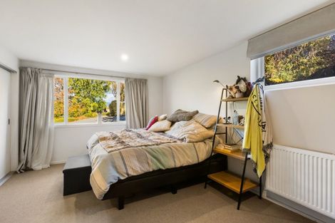 Photo of property in 217 Manuherikia Road, Springvale, Alexandra, 9393