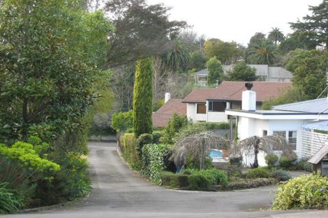 Photo of property in 79 Mchardy Street, Havelock North, 4130