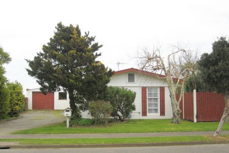 Photo of property in 199 Tiro Tiro Road, Levin, 5510