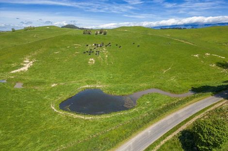 Photo of property in 314 Rakaiatai Road, Ormondville, Dannevirke, 4977