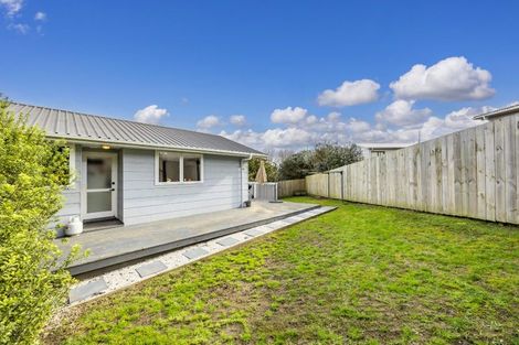 Photo of property in 17 Magdalen Place, West Harbour, Auckland, 0618
