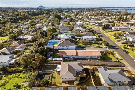 Photo of property in 3b Hilltop Road, Parkvale, Tauranga, 3112