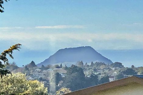 Photo of property in 17 Faulkner Street, Gate Pa, Tauranga, 3112