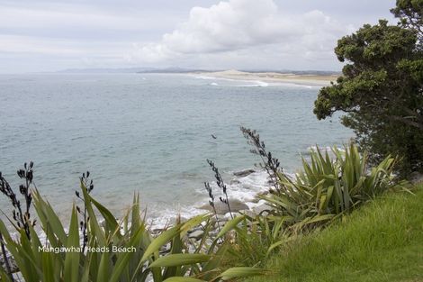 Photo of property in 758 Kaiwaka-mangawhai Road, Hakaru, Wellsford, 0975