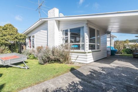 Photo of property in 9 Caribou Place, Kingston, Wellington, 6021