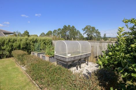 Photo of property in 3 Norwich Place, Bethlehem, Tauranga, 3110
