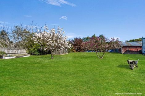 Photo of property in 91 Thomas Street, Waikouaiti, 9510