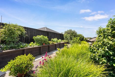 Photo of property in 19 Meadowview Drive, Morrinsville, 3300