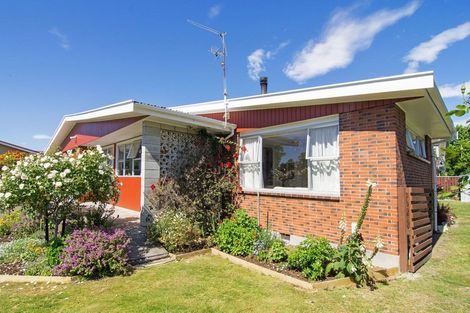 Photo of property in 23 Plunket Street, Solway, Masterton, 5810