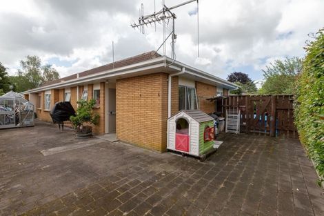 Photo of property in 52d Naylor Street, Hamilton East, Hamilton, 3216