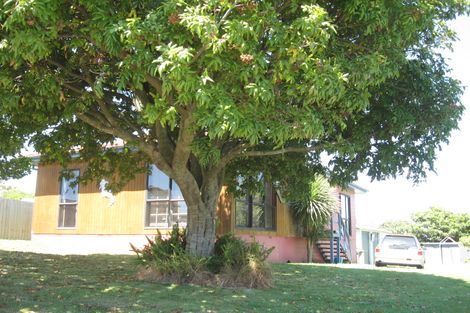 Photo of property in 13 Ngaparaoa Drive, Maketu, 3189