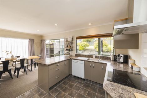 Photo of property in 62 Fraser Drive, Feilding, 4702