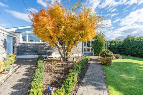Photo of property in 103a Forfar Street, Mosgiel, 9024