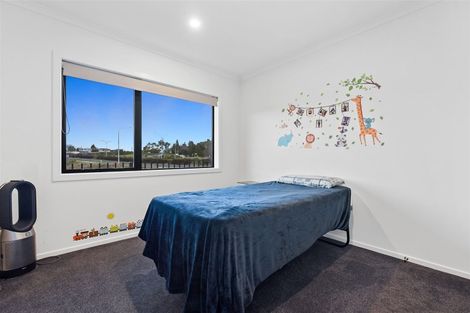 Photo of property in 54 Maggie Place, Chartwell, Hamilton, 3210