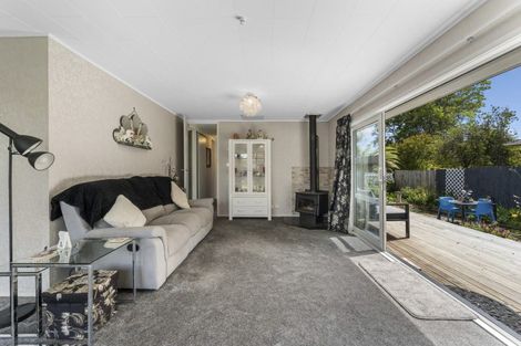 Photo of property in 116 Te Rangitautahanga Road, Turangi, 3334