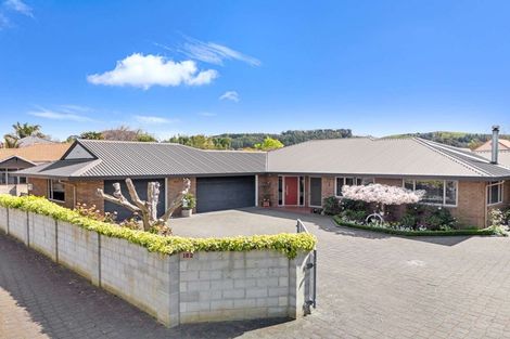 Photo of property in 182 Auckland Road, Greenmeadows, Napier, 4112
