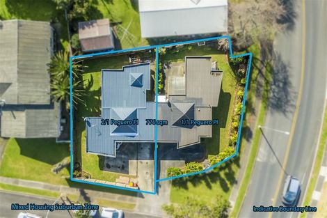 Photo of property in 1/1 Peguero Place, Totara Heights, Auckland, 2105