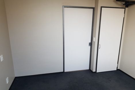 Photo of property in The Lofts, 11/185u Victoria Street, Te Aro, Wellington, 6011
