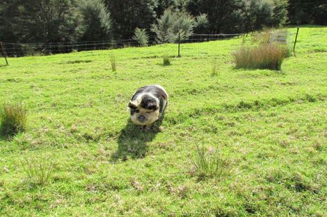 Photo of property in 227 Mangahui Road, Whareora, Whangarei, 0175