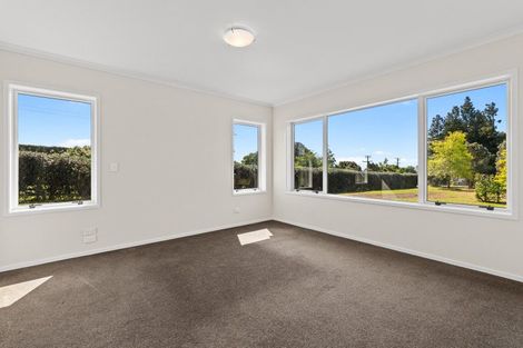 Photo of property in 407 Youngson Road, Whakamarama, Tauranga, 3179