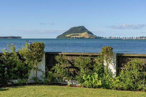 Photo of property in 1/2 Kulim Avenue, Otumoetai, Tauranga, 3110