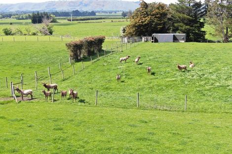 Photo of property in 68 Currie Road, Woodside, Outram, 9073