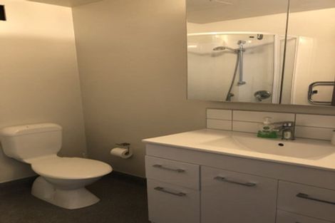 Photo of property in Dual Apartments, 301/142u Vivian Street, Te Aro, Wellington, 6011