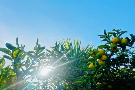 Photo of property in 59 Staveley Street, Avonhead, Christchurch, 8042