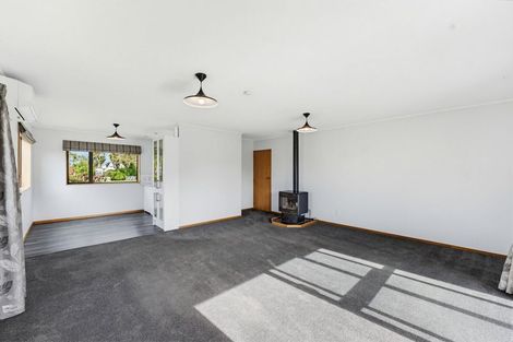 Photo of property in 47 Mckenzie Street, Geraldine, 7930