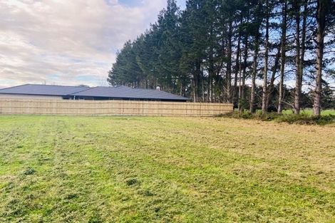 Photo of property in 16b Rayner Lane, Marton, 4710