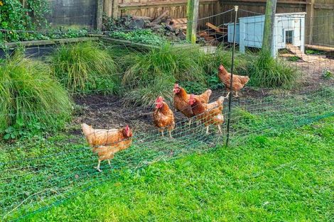 Photo of property in 16 Matipo Street, Taupo, 3330