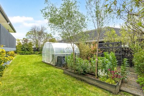 Photo of property in 29 Campbell Drive, Warkworth, 0910