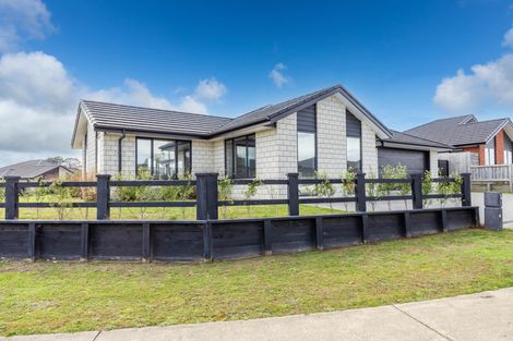 Photo of property in 14 Rangawhenua Street, Ngaruawahia, Hamilton, 3288