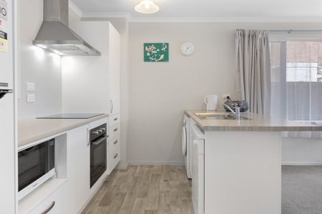 Photo of property in 188u7 Ulster Street, Whitiora, Hamilton, 3200