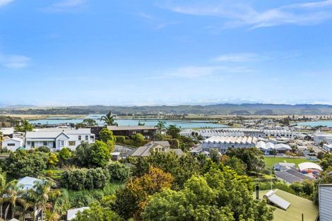 Photo of property in 8 Denholm Road, Hospital Hill, Napier, 4110