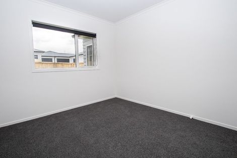 Photo of property in 18u4 Rothwell Street, Dinsdale, Hamilton, 3204
