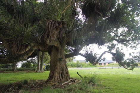 Photo of property in 5 Heartstone Place, Te Kamo, Kamo, 0185