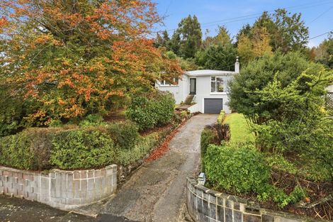 Photo of property in 22 Turner Street, Halfway Bush, Dunedin, 9010