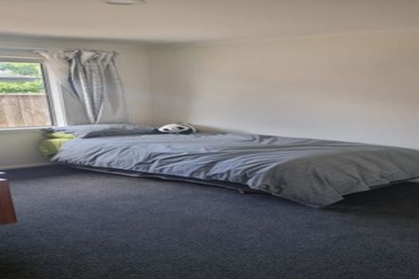 Photo of property in 5 Mellifera Place, Richmond, 7020