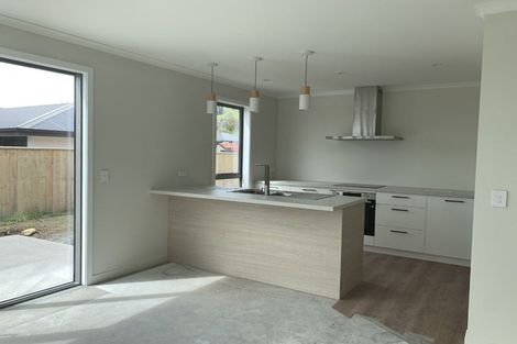Photo of property in 5 Poukirikiri Place, Richmond, 7020