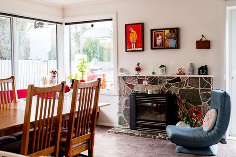 Photo of property in 29 Ross Street, Roslyn, Dunedin, 9010