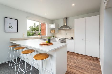 Photo of property in 18 Mcleish Lane, Spreydon, Christchurch, 8024