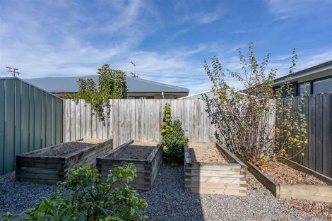 Photo of property in 36 Cole Street, Masterton, 5810