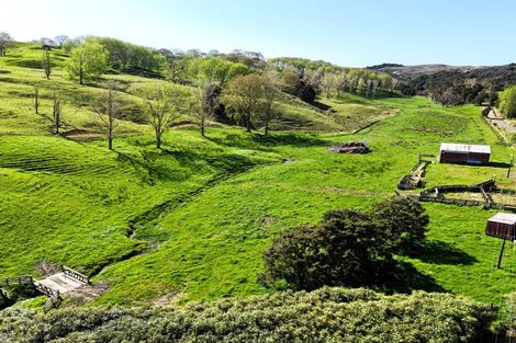 Photo of property in 445 Avoca Road, Mamaranui, Dargaville, 0372