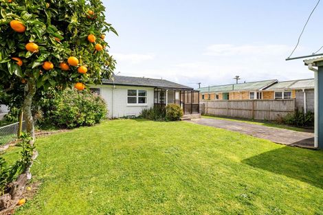 Photo of property in 1 Kingsley Street, St Andrews, Hamilton, 3200