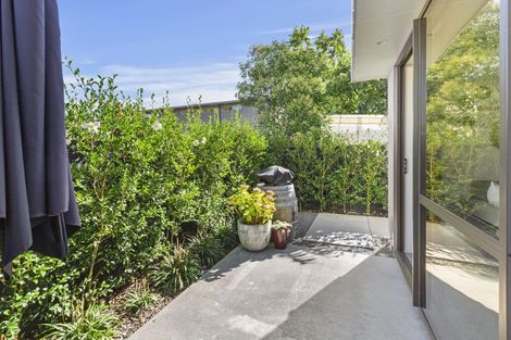 Photo of property in 14u1 Abbotsford Street, Whitiora, Hamilton, 3200