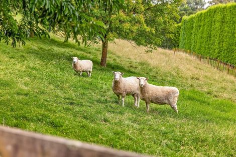 Photo of property in 26d Wainui Road South, Whakamarama, 3181